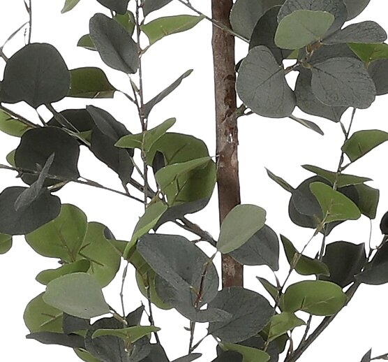 Mica Decorations Eucalyptus in pot groen - h150xd30cm