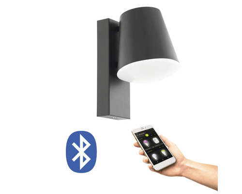 LED buitenwandlamp 9W 806 lm 3000 KH 24 cm antraciet