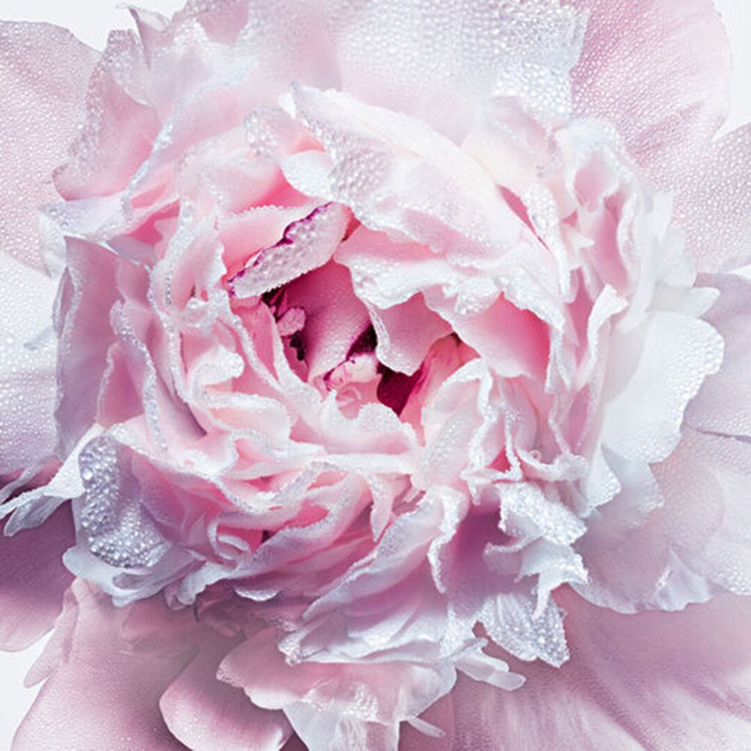 Dior MISS DIOR Creme Pour Le Corps - 150ml