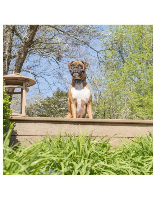 Petsafe Remote Spray Trainer 300 Meter - Hondenopvoeding - Blauw