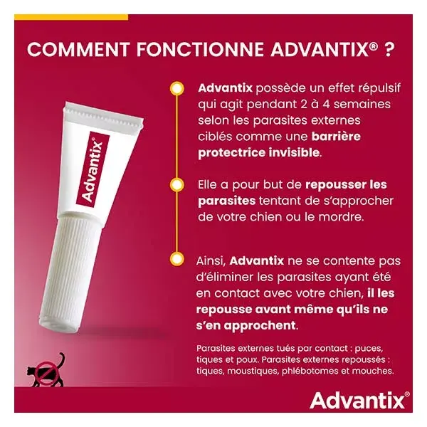 Advantix Chien Solution Antiparasitaire Petite Race 4 à 10kg 6 pipettes
