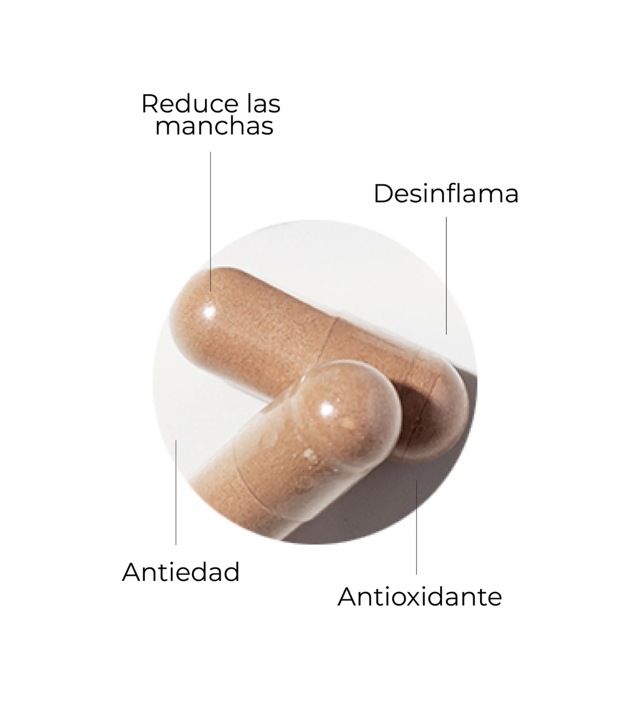 SEGLE - Suplemento alimentar Clear Skin Pro - 60 cápsulas