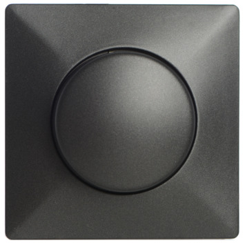 GAMMA Everest Centraalplaat Dimmer Antraciet