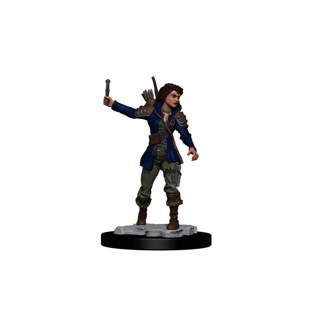 Pathfinder Deepcuts Unpainted Miniatures: Human Female Rogue