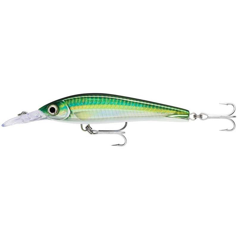 Leurre Flottant Rapala X-Rap Magnum Xtreme - 16Cm