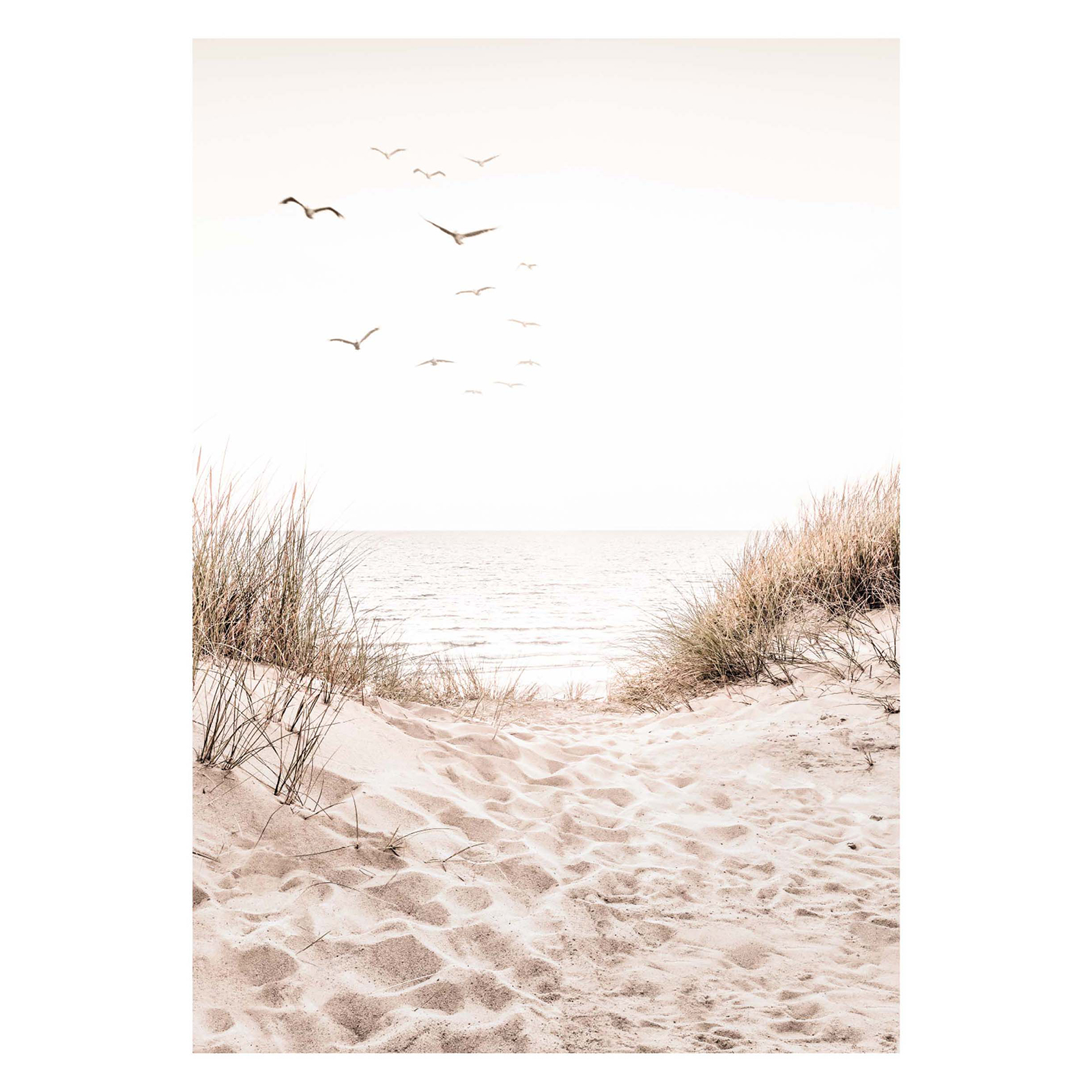 Gerahmtes Bild DUNEPATH - 50x70 cm