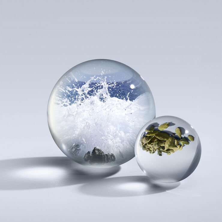 Molton Brown Molton Brown Coastal Cypress & Sea Fennel Eau De Parfum 100 ml