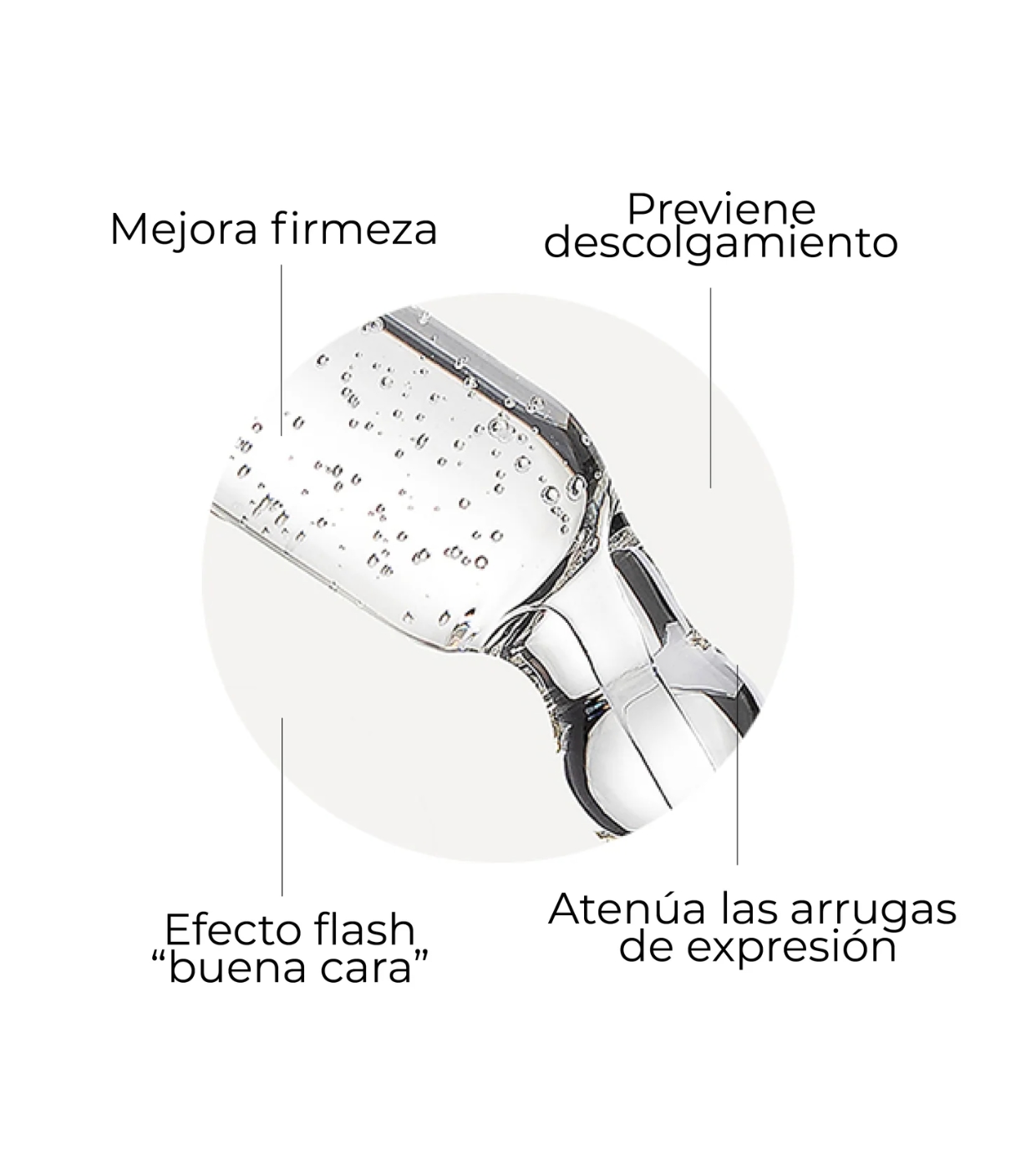 SEGLE - Pacote antienvelhecimento Well Aging Set