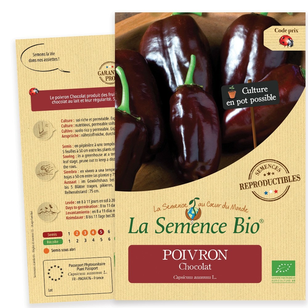 Poivron chocolat bio