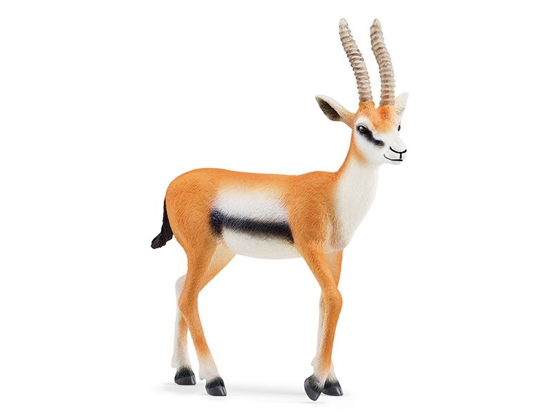 Schleich Spielzeugfigur Wild Life Gazelle Spielzeug-Tierfigur