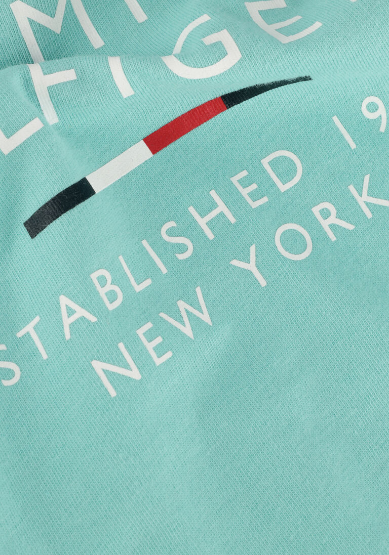 TOMMY HILFIGER blauwe tommy hilfiger t-shirt th logo tee s/s