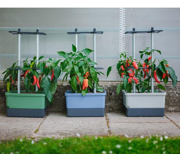 Gusta Garden Chili-Pflanztopf Charly Chili,