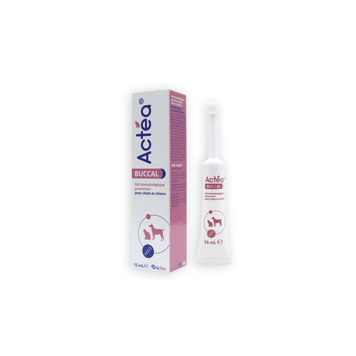 Gel Actéa Buccal