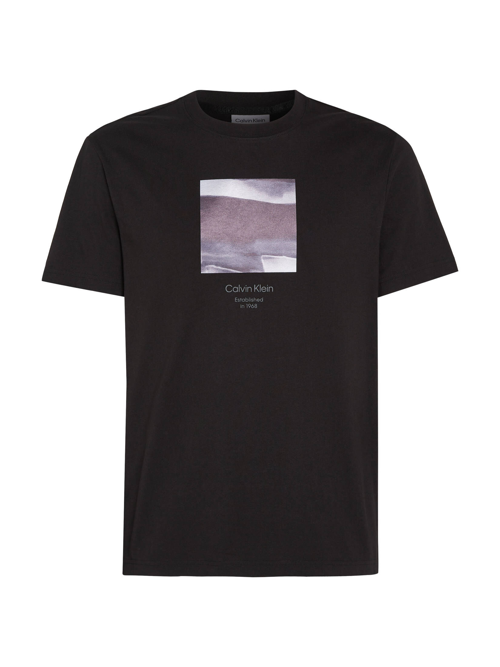 CALVIN KLEIN| Herren T-Shirt