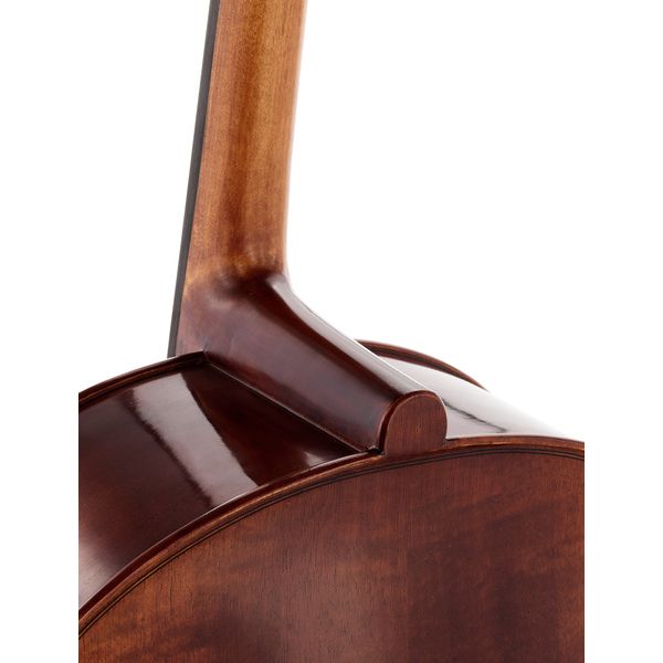 Gewa Maestro 6 Antiqued Cello 4/4