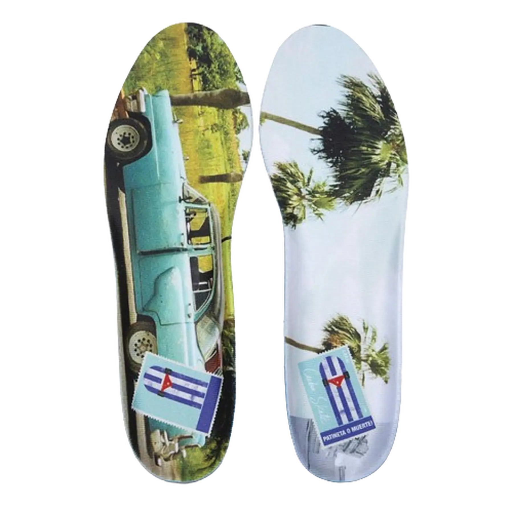 Lakai Cambridge Skatersko | SkatePro