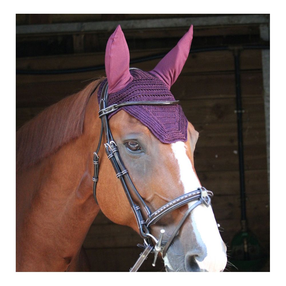 Paddock Sports PREMS - Bonnet anti-mouches prune