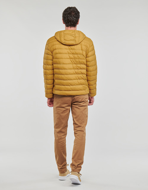 Polo Ralph Lauren - O224SC32-TERRA JKT-INSULATED-BOMBER Amarillo / Mostaza