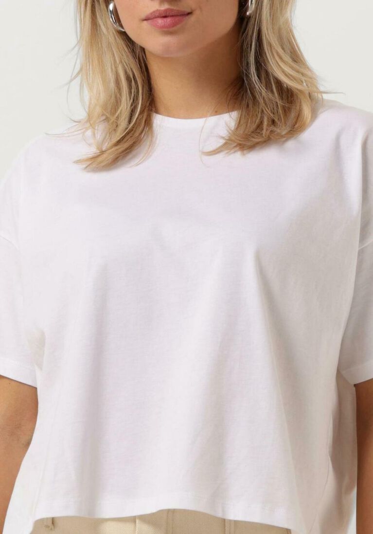 MSCH COPENHAGEN ecru msch copenhagen t-shirt mschairin logan tee