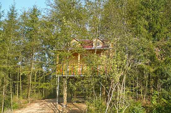Baumhaushotel Schönau - Übernachtung im Baumhaus