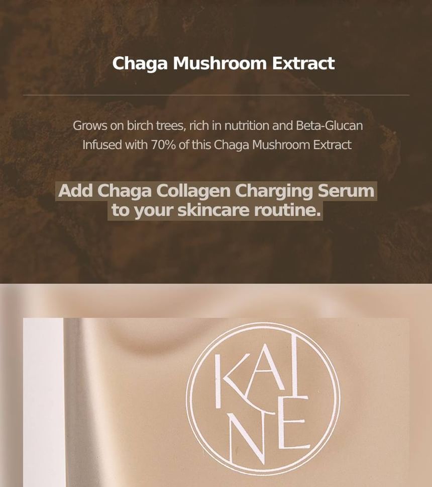 KAINE - Chaga collageen oplaadserum