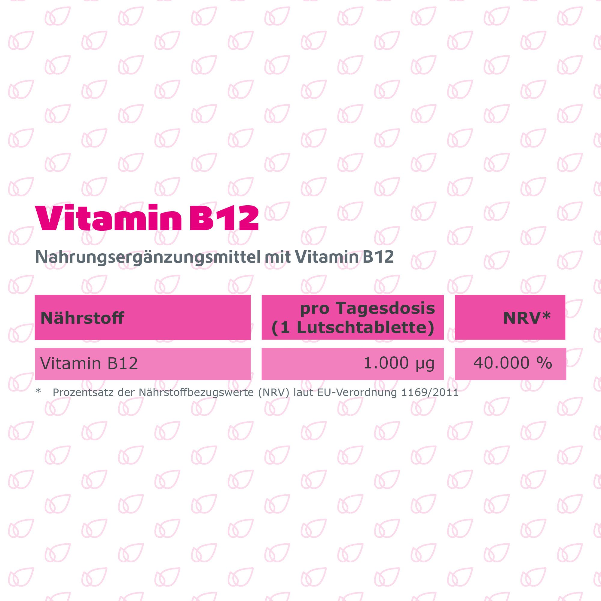 R(h)ein Nutrition Vitamin B12 1.000 µg