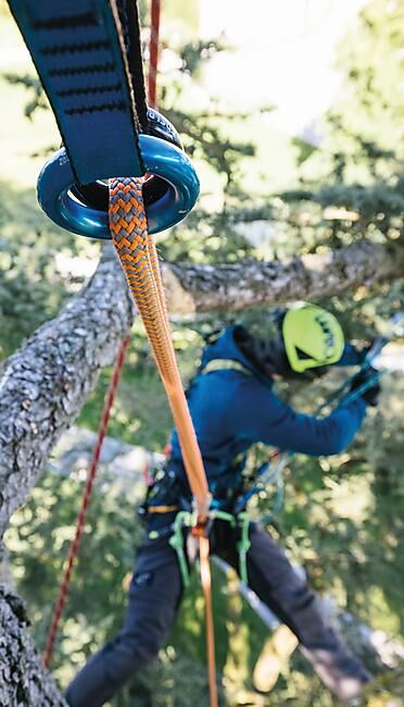 EDELRID - CORDE WOODPECKER 11.7MM 36m (sur commande)