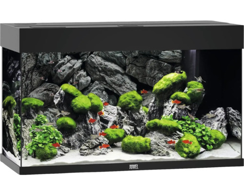 JUWEL Rio 125 aquarium met LED-verlichting, pomp, filter, verwarming (zonder kast), zwart