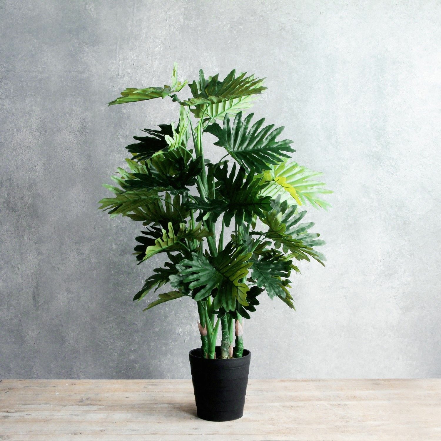 Mica Decorations Philodendron in plastic pot groen - h120xd80cm