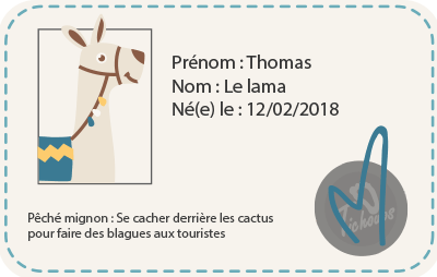 Thomas le lama