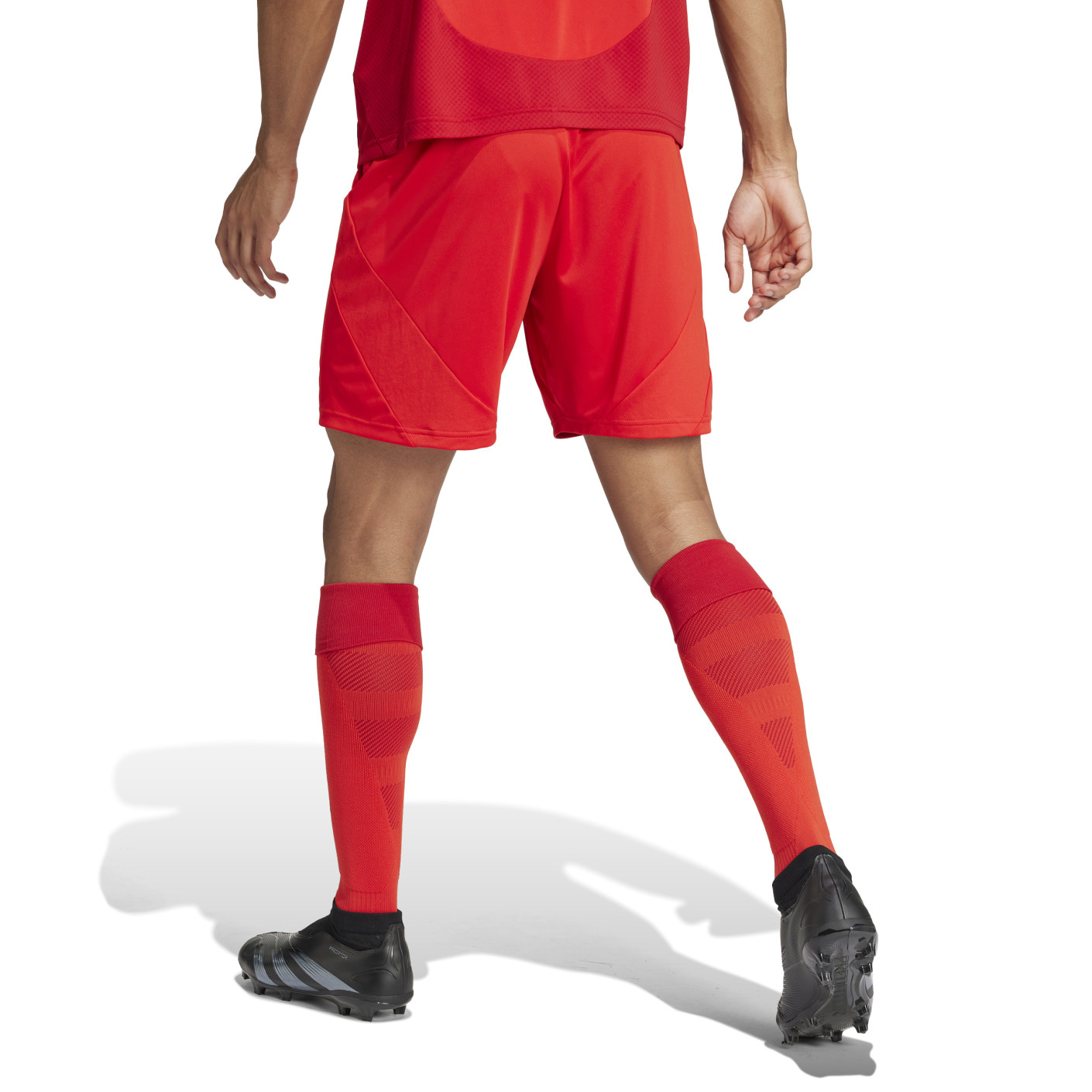 Adidas Bayern München Thuisbroekje 2024-2025