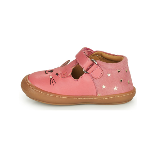 Citrouille et Compagnie - TIPELLE - Pink