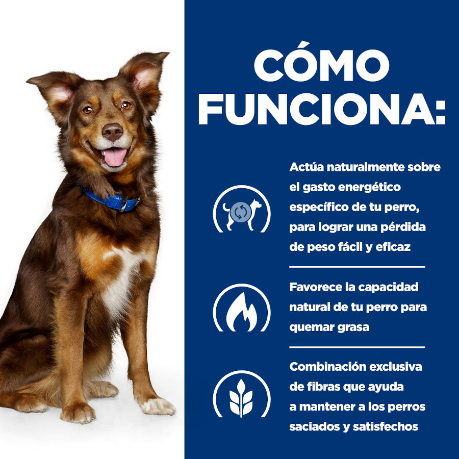 Hill's Prescription Diet Metabolic Ensopado de Frango e Vegetais em Lata para Cães