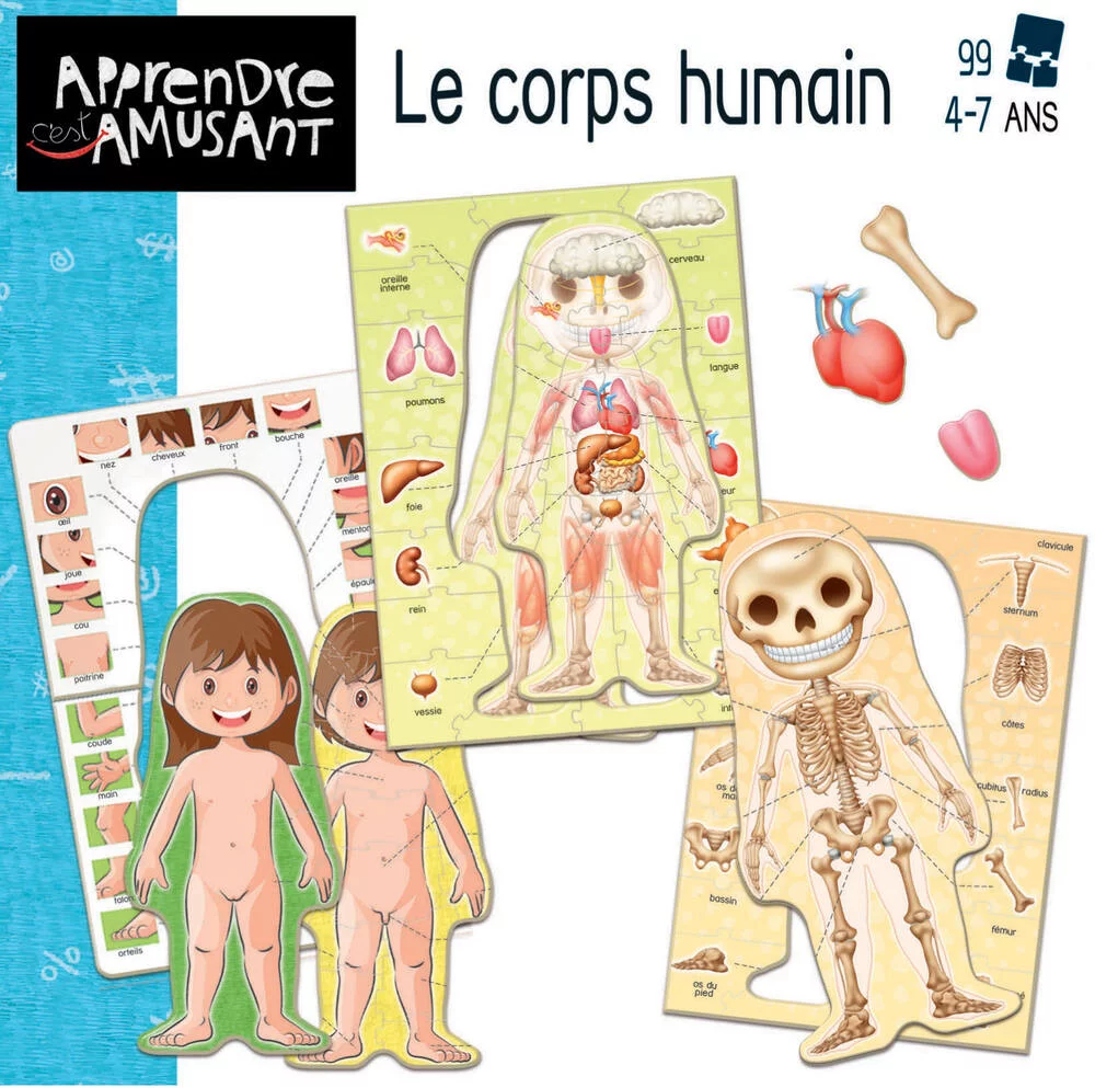 LE CORPS HUMAIN