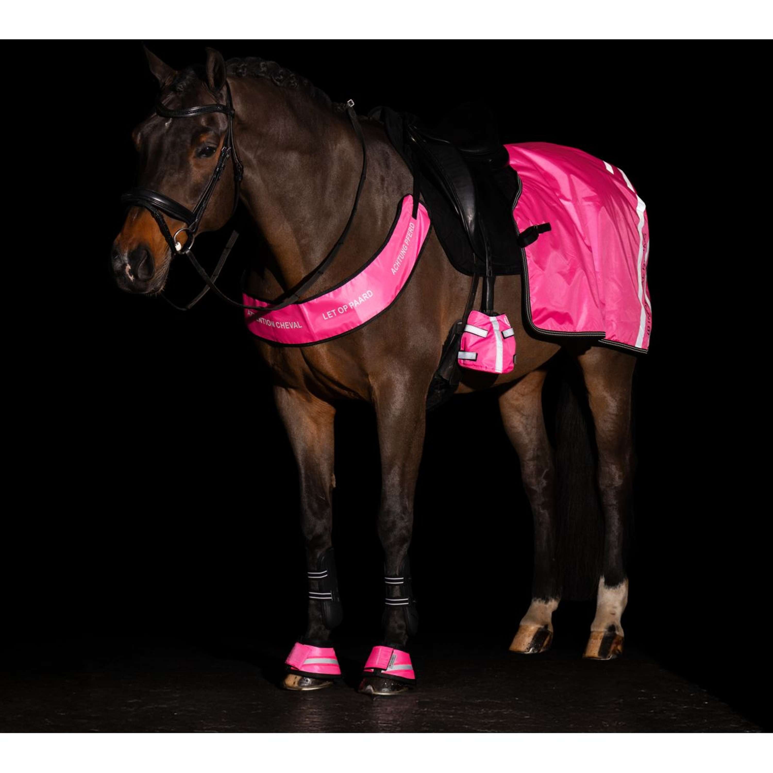 Imperial Riding Teenwarmer IRHReflective Pink