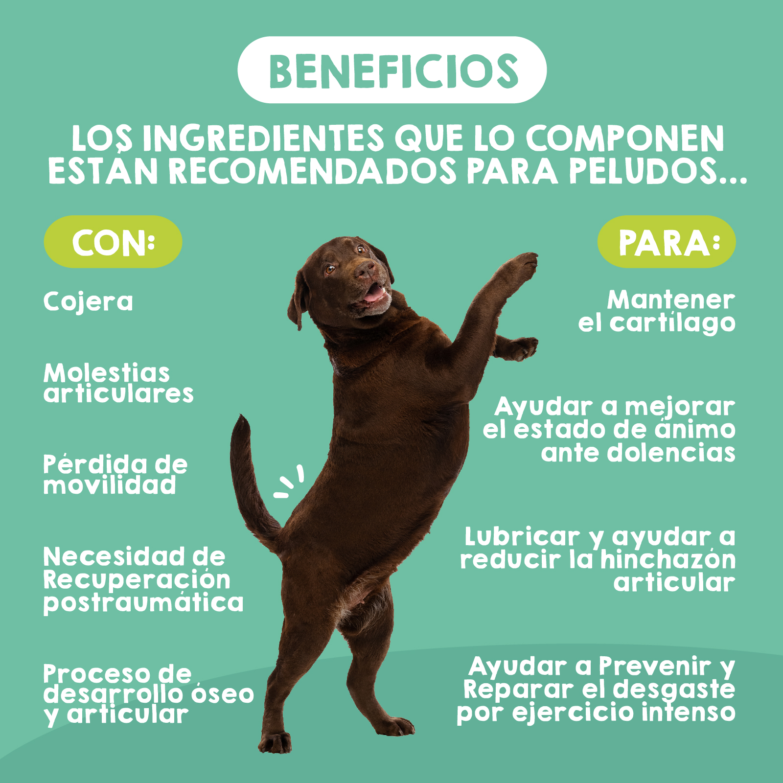 MAIKAI Condroprotetor para Cães de Grande Porte e Gigantes - 120 Comprimidos