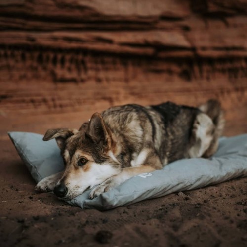 Tapete para gaiola de cachorro Lodge, cinza