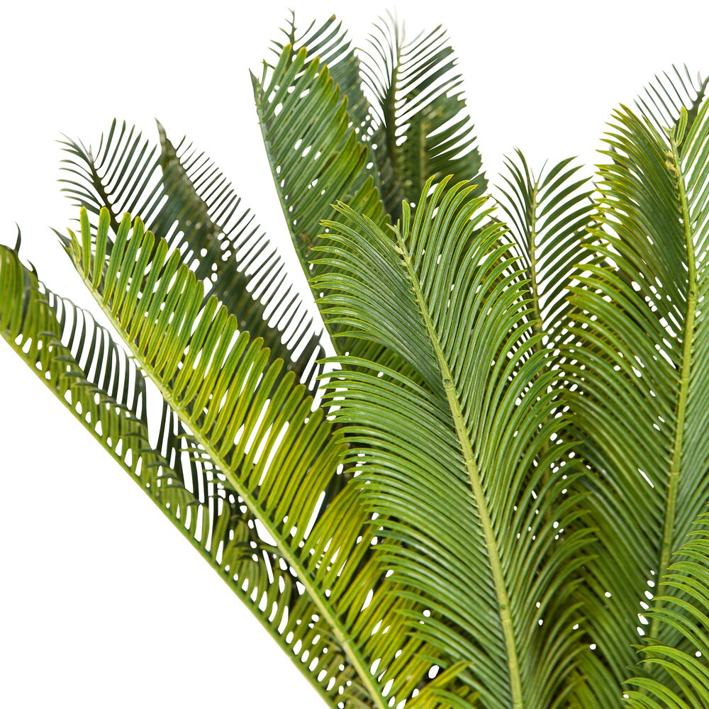 Kunstpflanze CYCAS Kunststoff, Stoff hjh OFFICE