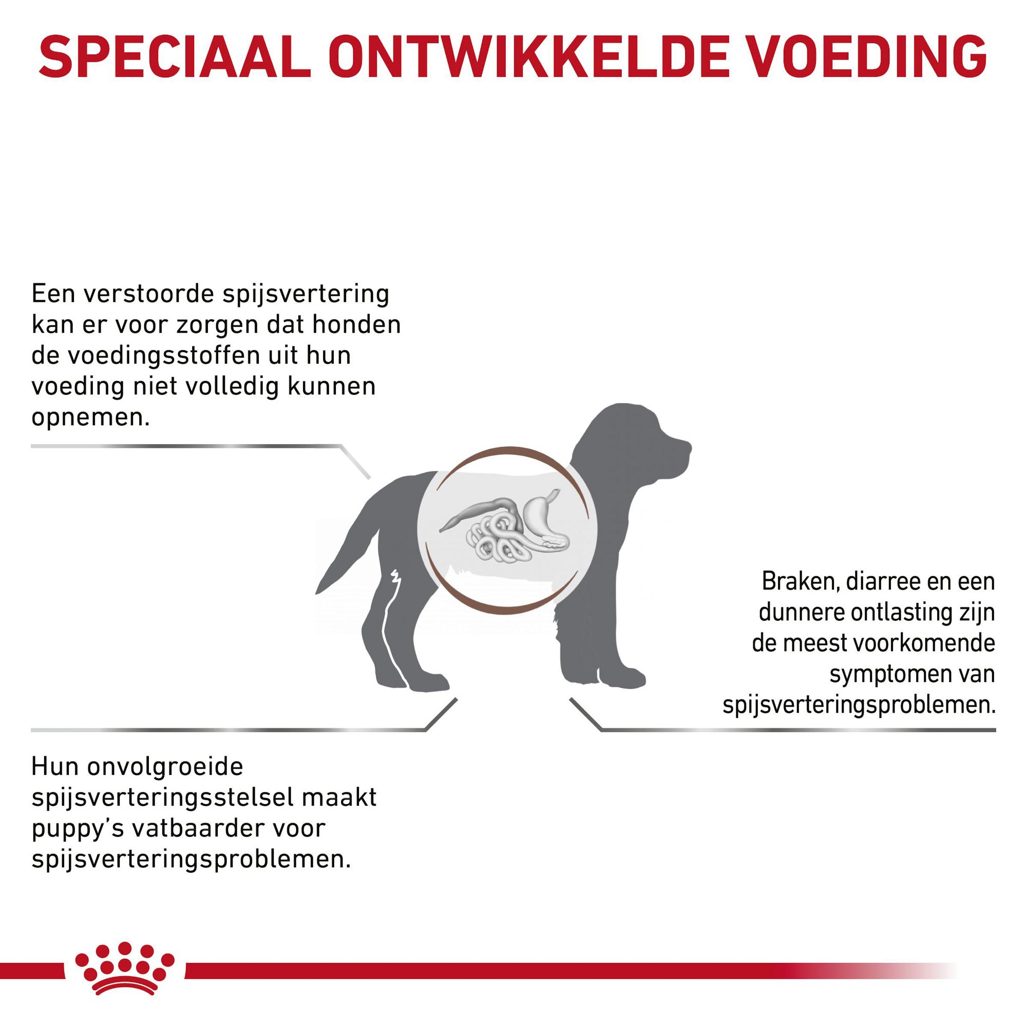 Royal Canin Gastrointestinal Puppy Hond
