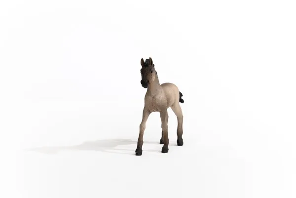 Schleich Criollo Definitive Foal