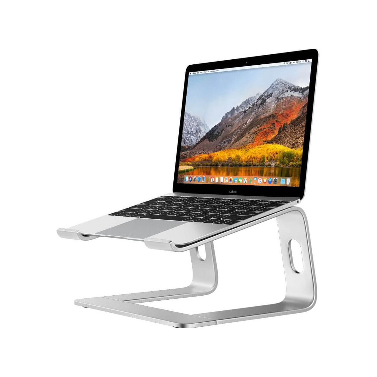 Desire2 Deskstand Supreme Pro stativ til bærbar PC