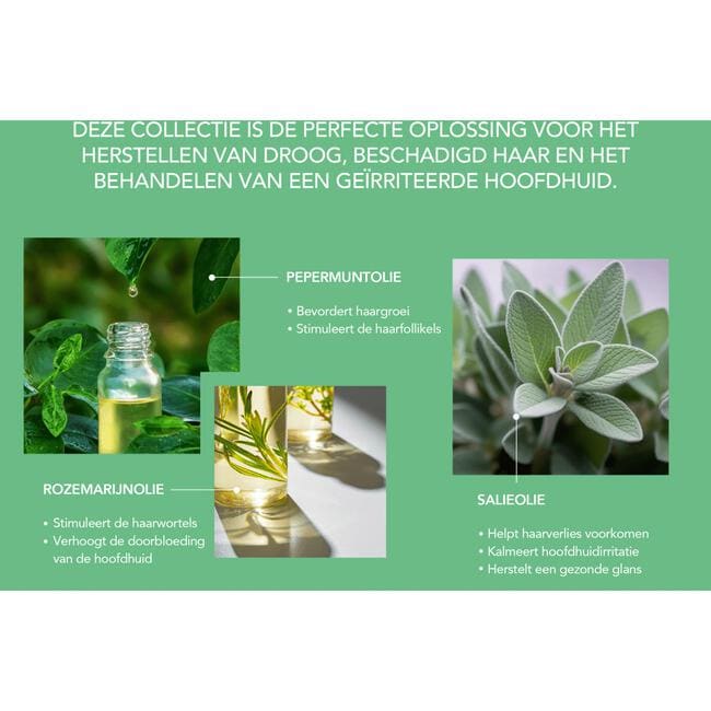African Pride Peppermint, Rosemary en Sage Versterkende Balm