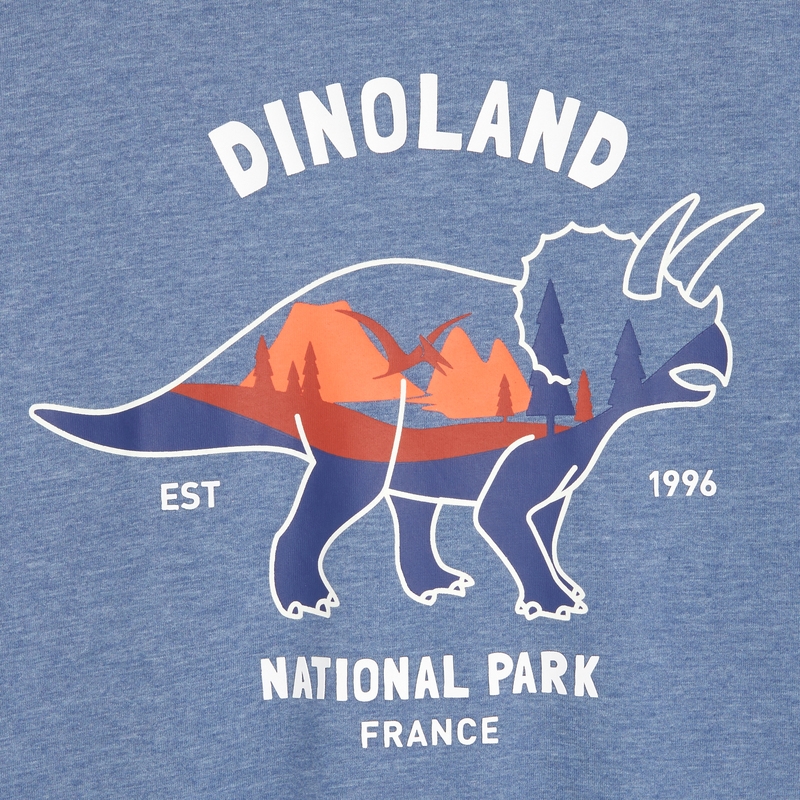T-shirt à motif dinosaure bleu garçon