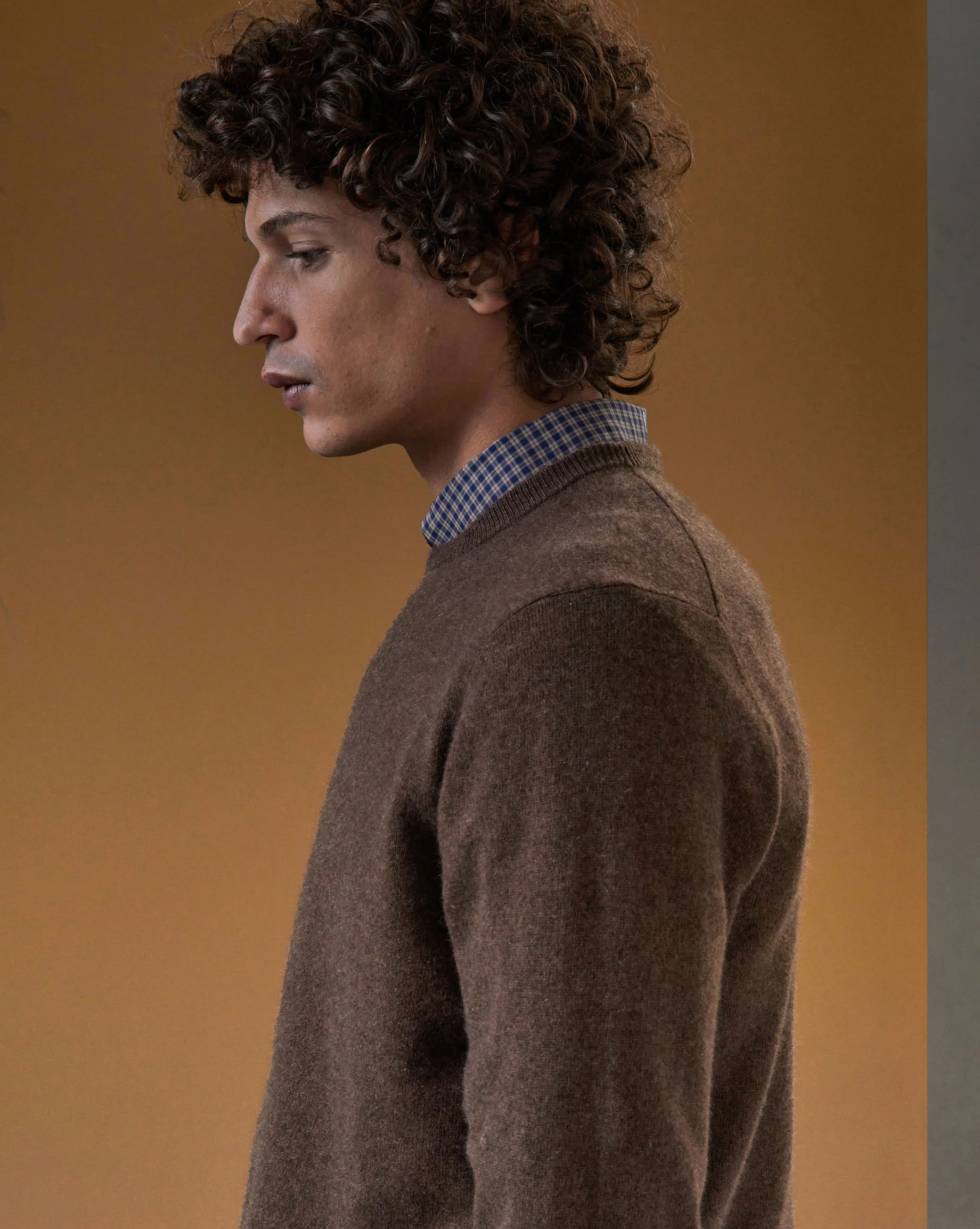 Pull homme col rond en cachemire 2 fils | Marron