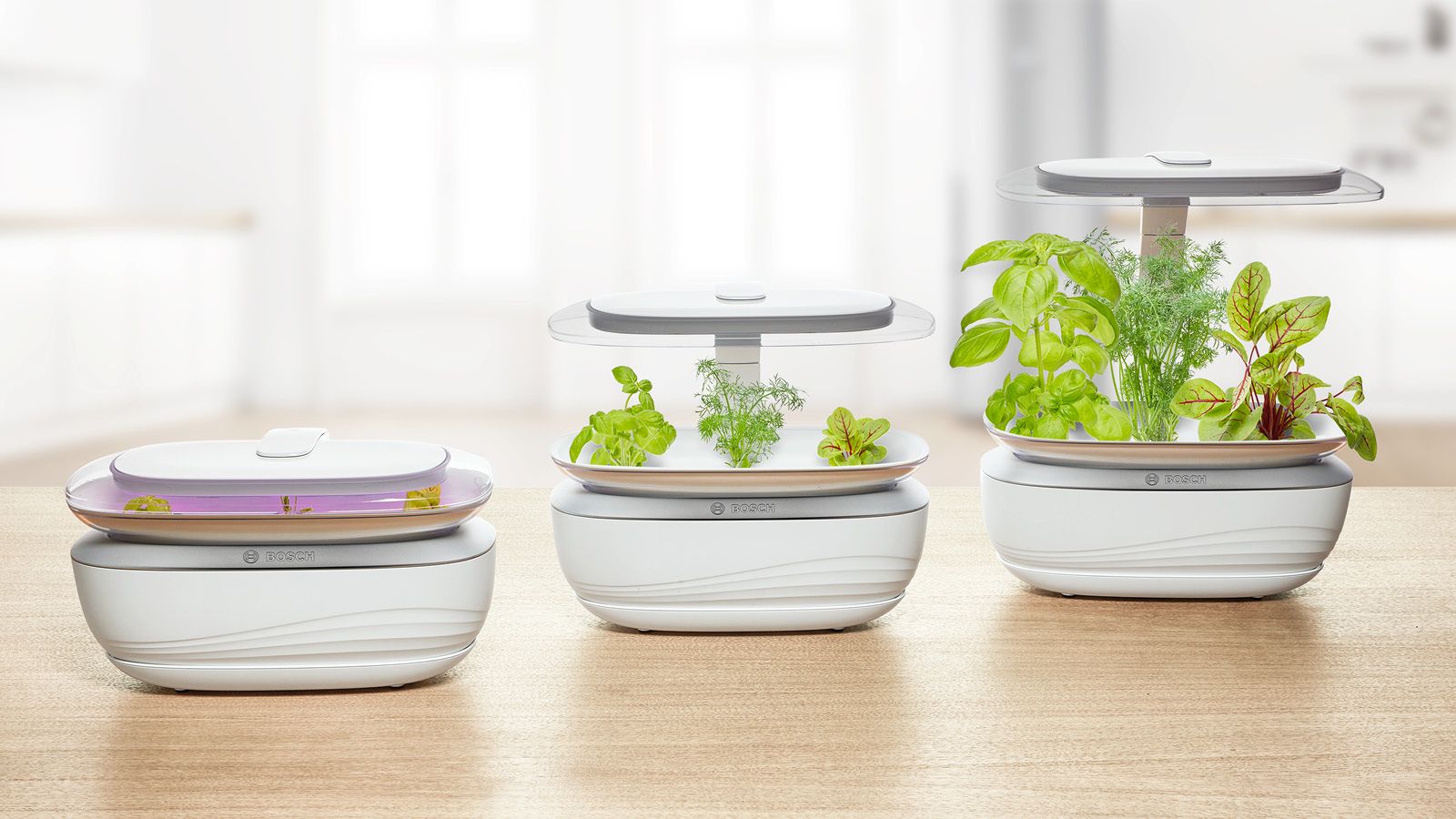 PRODUTO RECONDICIONADO # SmartGrow SmartGrow Life MSGP3L----B