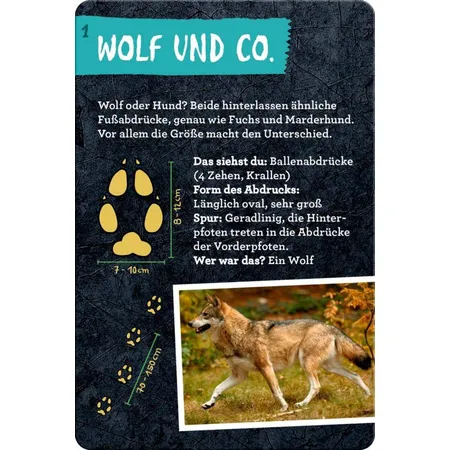 Coppenrath Verlag 50 Tierspuren - Nature Zoom (Blechdose)