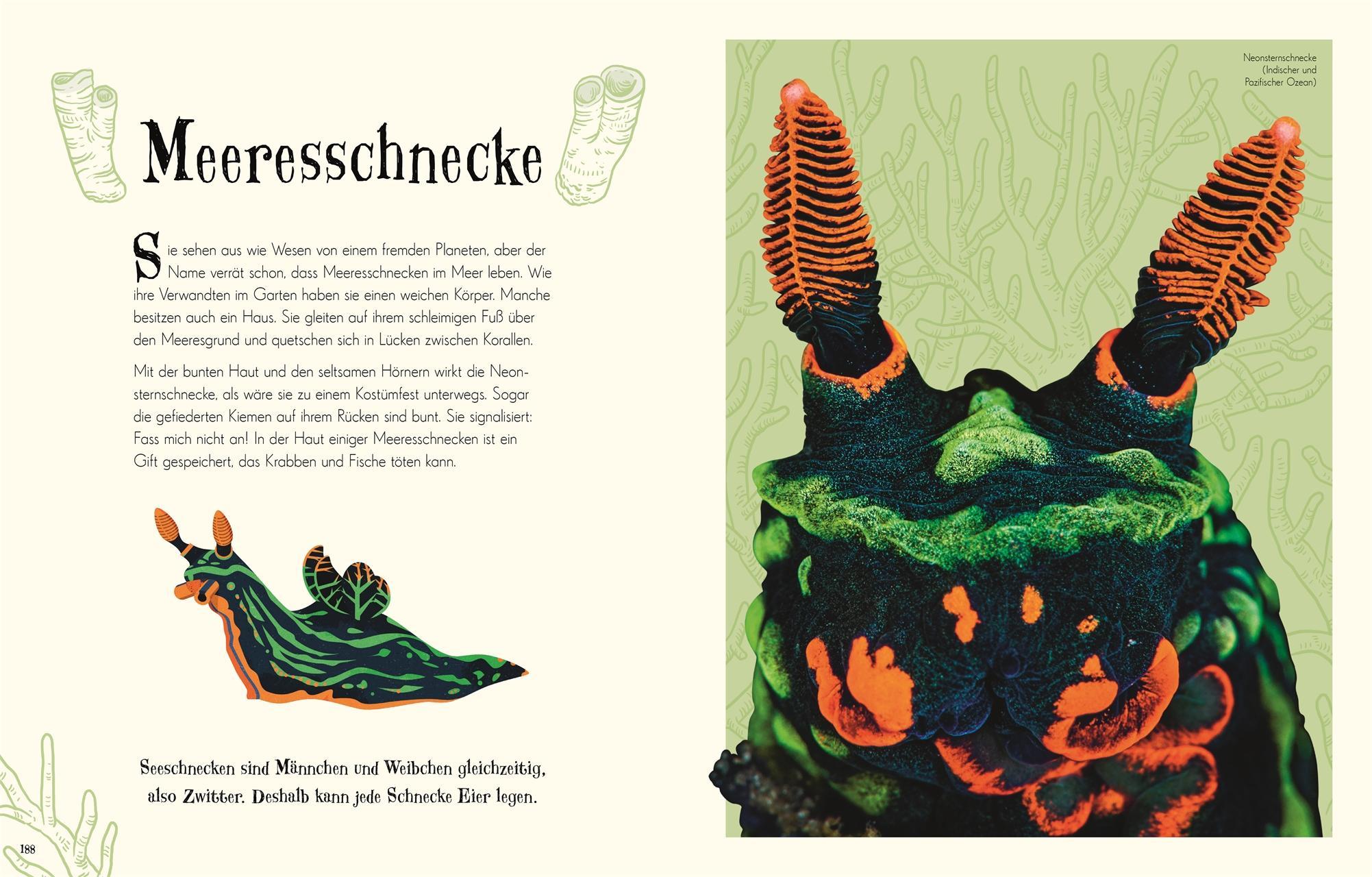 Wundervolle Welt der Tiere / Wundervolle Welt Bd.1