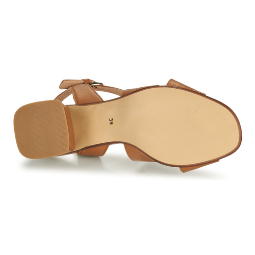 Fericelli - ONAPA Camel