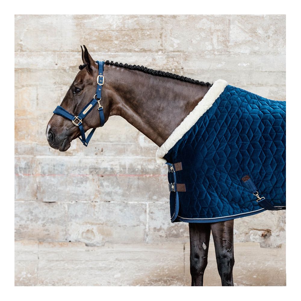 Kentucky VELVET - Licol navy
