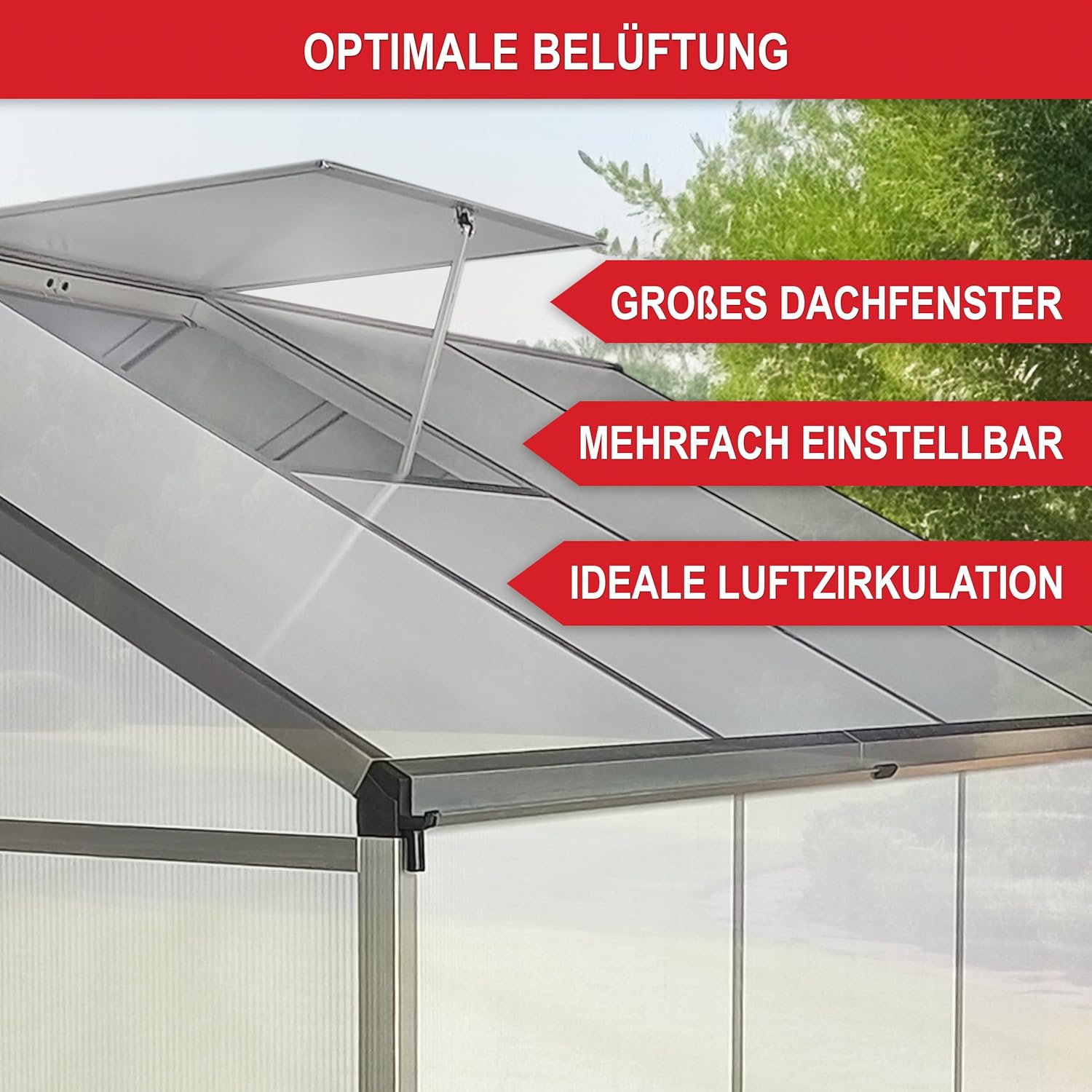 stabiles Aluminium Gewächshaus mit Dachfenster – Garten Frühbeet ideal für die Anzucht von Tomaten Blumen – vielseitig nutzbar als Treibhaus, Tomatengewächshaus Pflanzenhaus (L)
